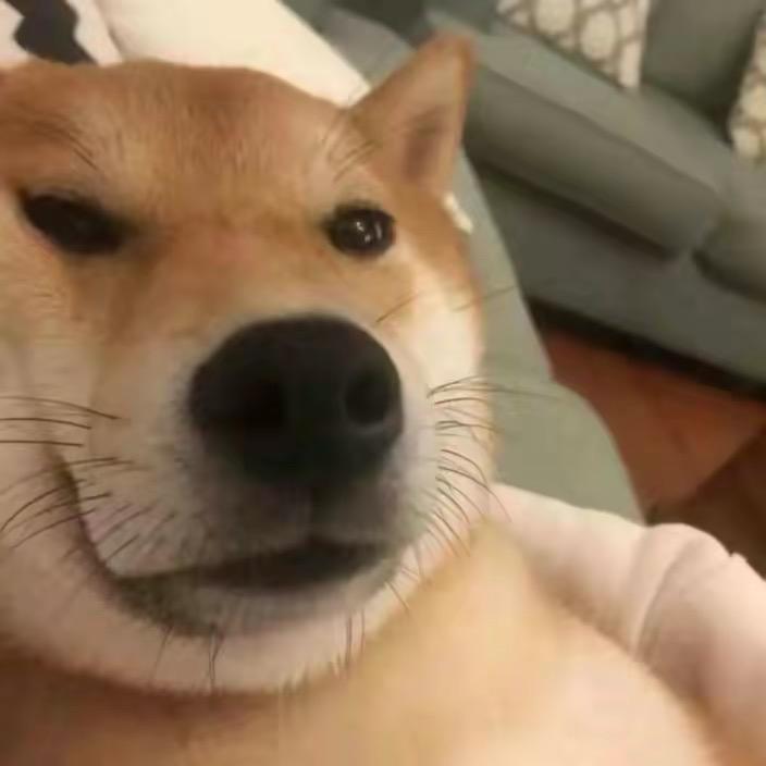 。。。。。。。。。。。。。。。。。。