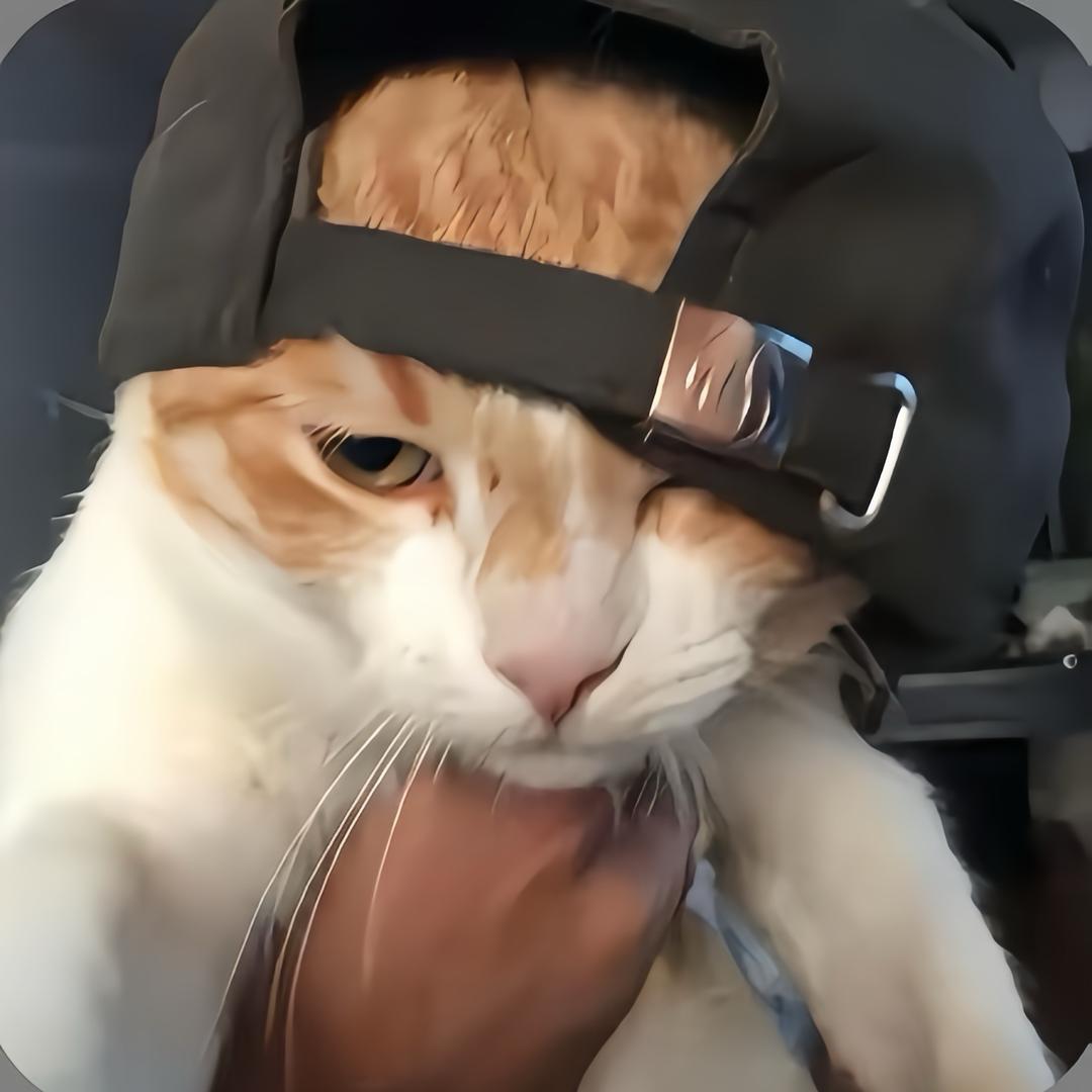安在哉