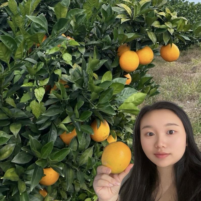 🍀赣南脐橙