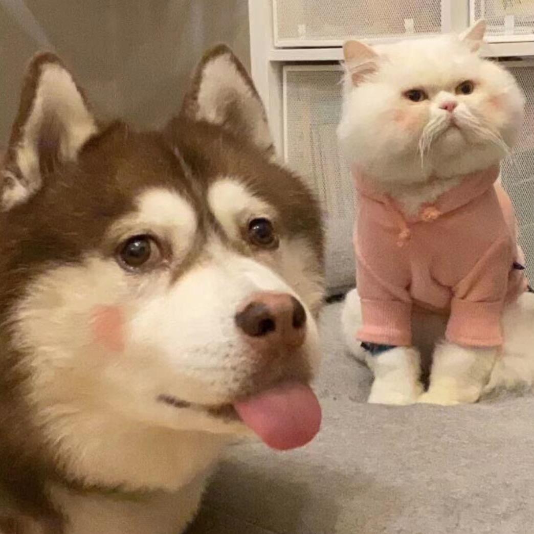 Yy    .