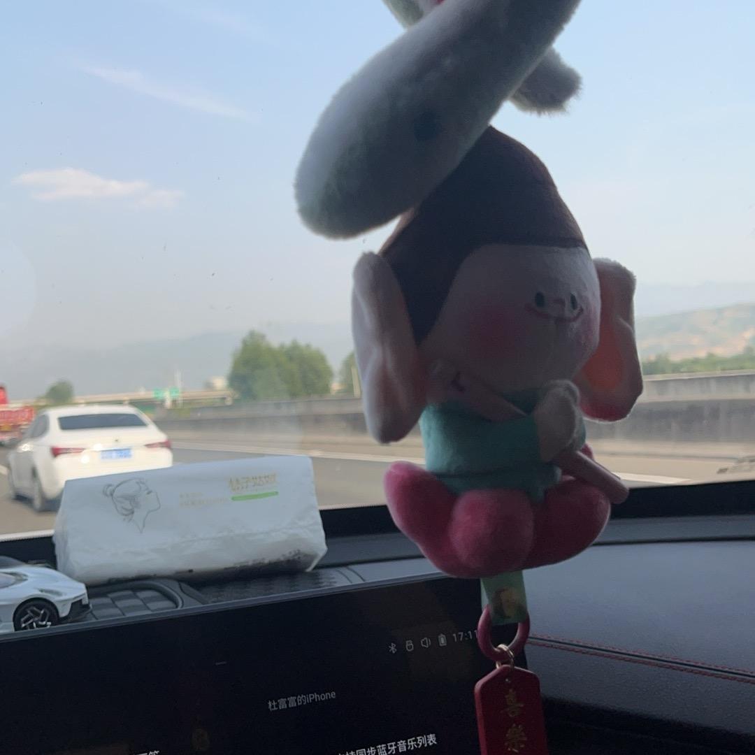 杜哈哈