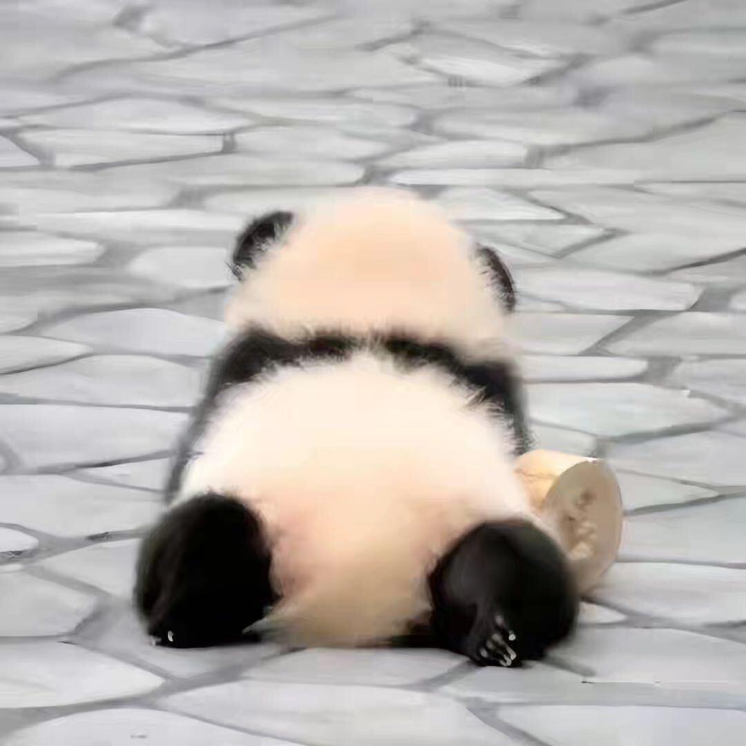 小巴