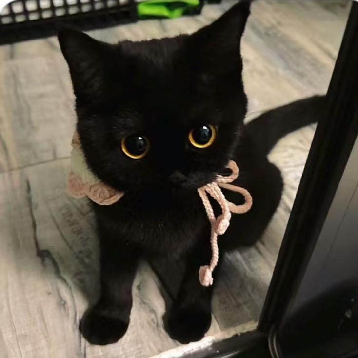 小猫架子