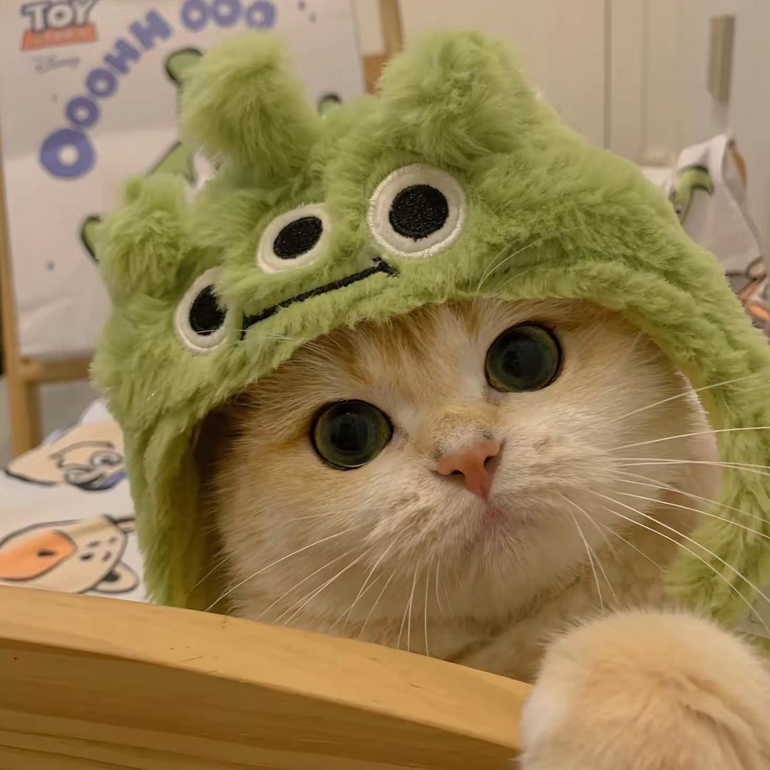 清蒸鱼🦁