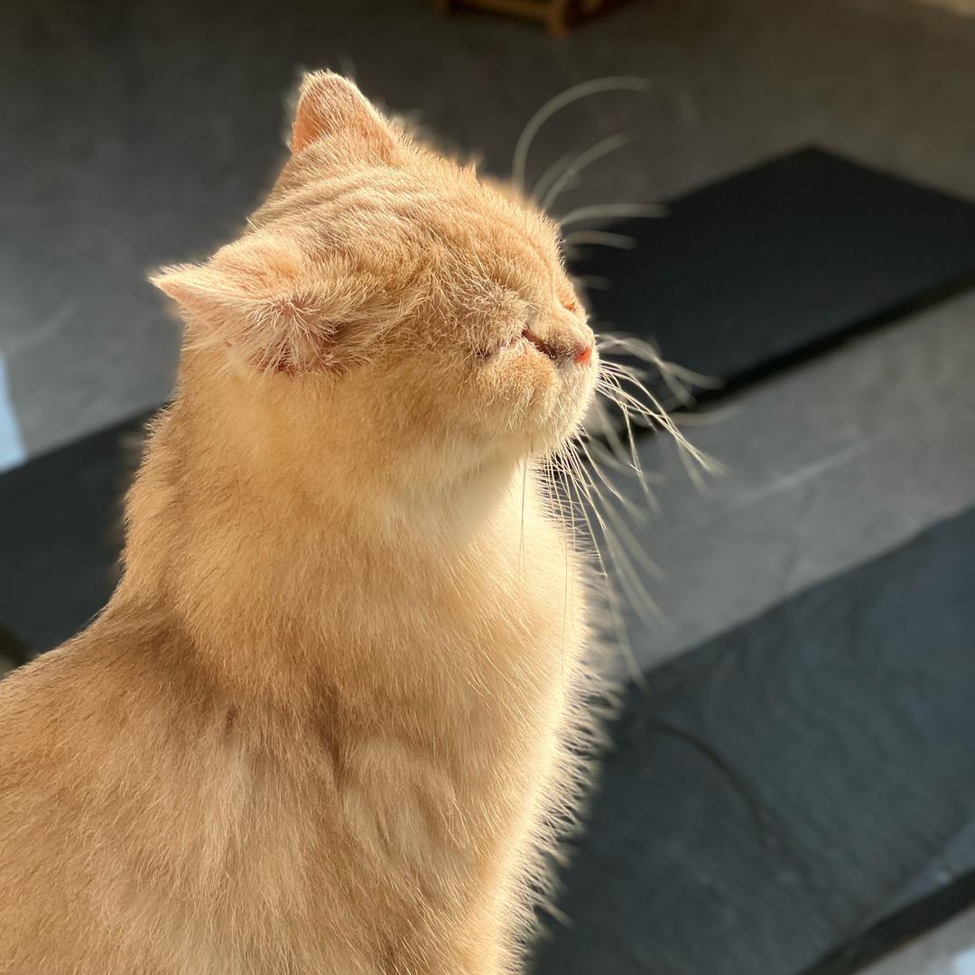 ^_^