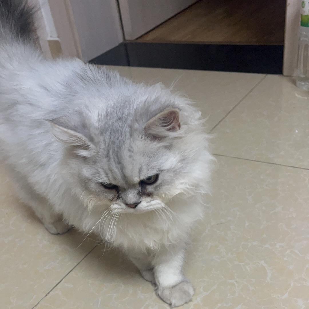 @@包包