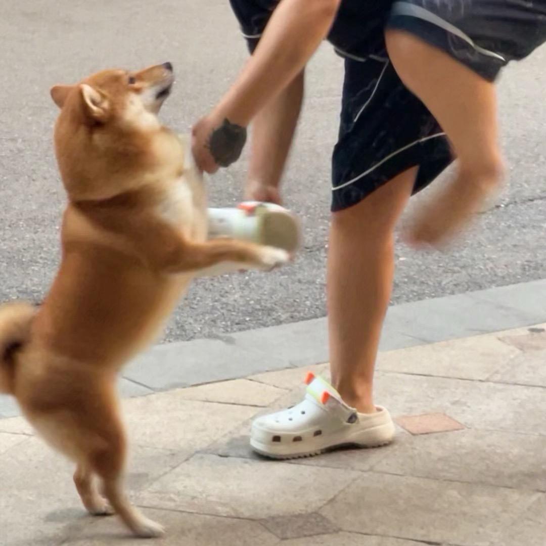 路小雨l