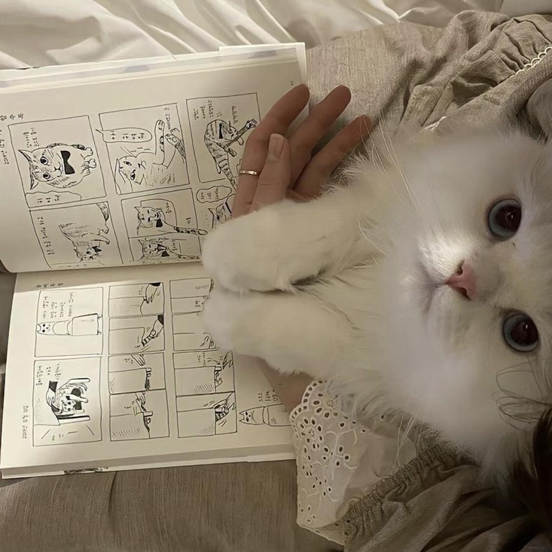 🫧