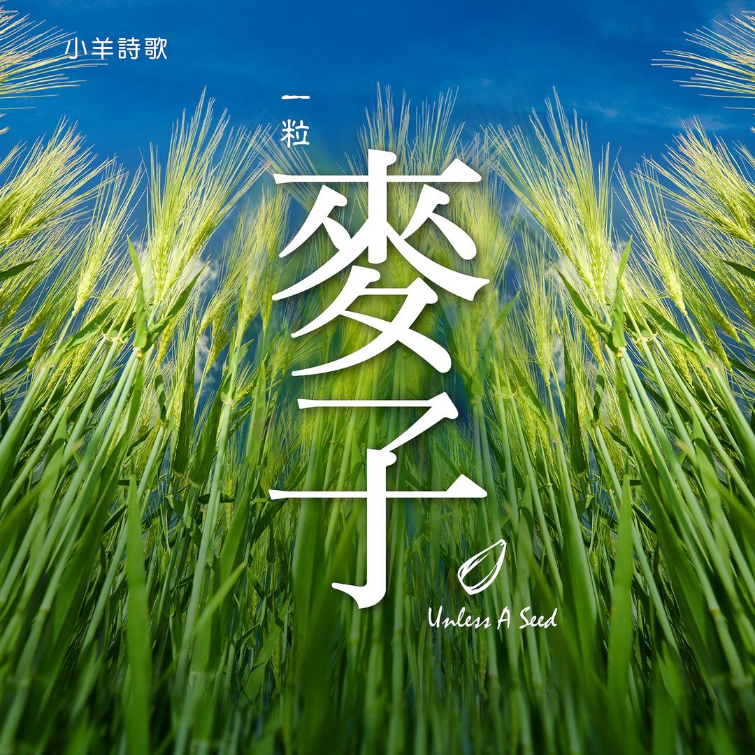 麥子