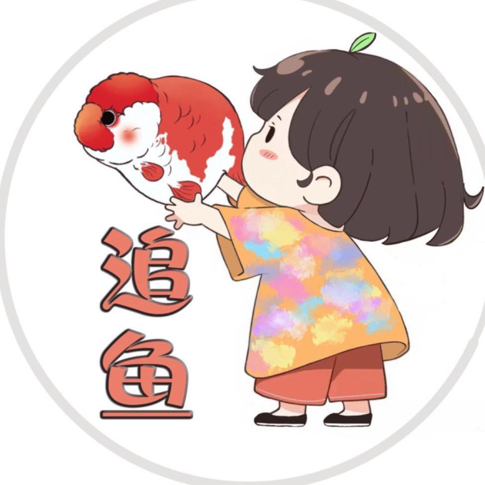 追鱼兰寿观赏鱼依依店