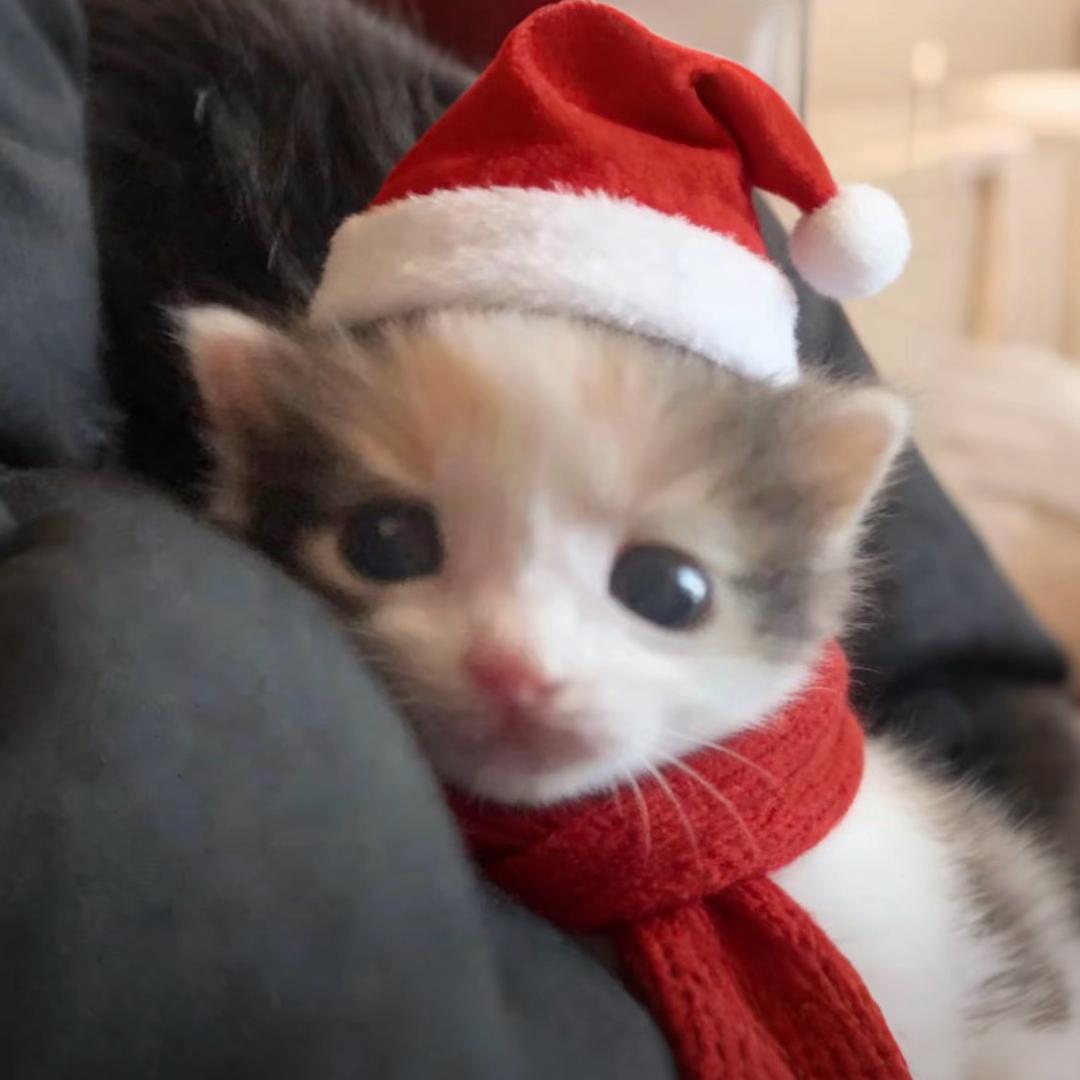 有意义的事情多做