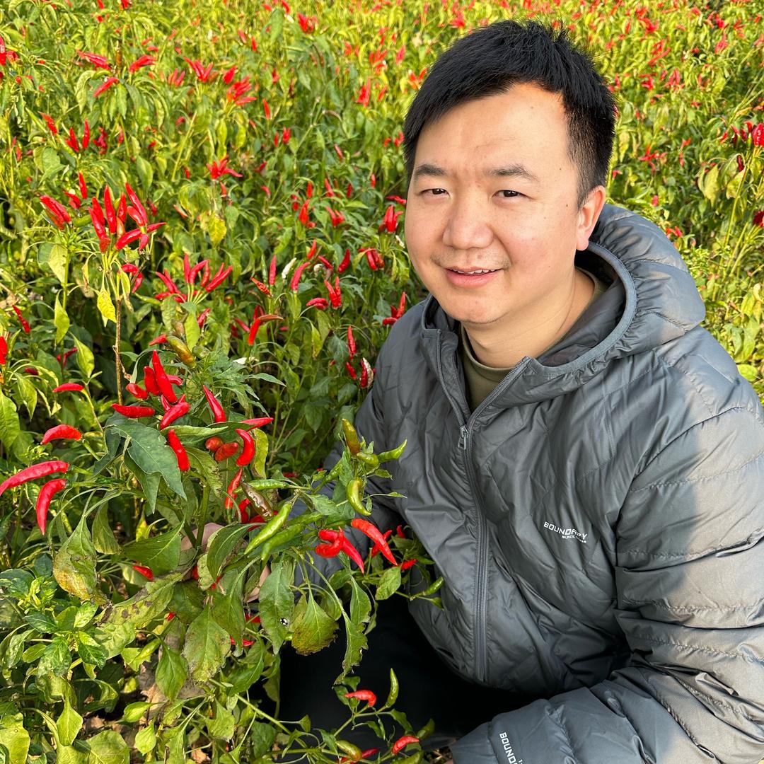 小曾干货干菜