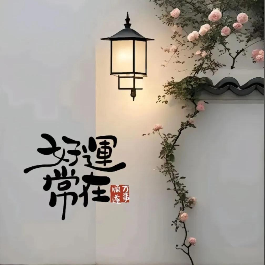 任茜茜