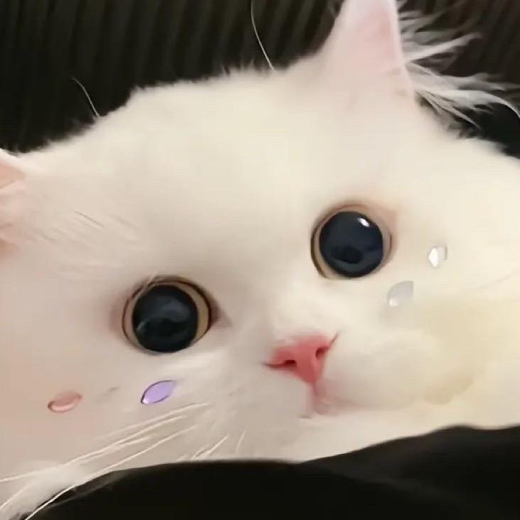 一一🤍