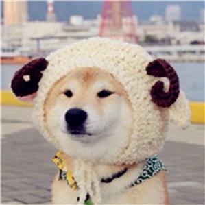 当了个当