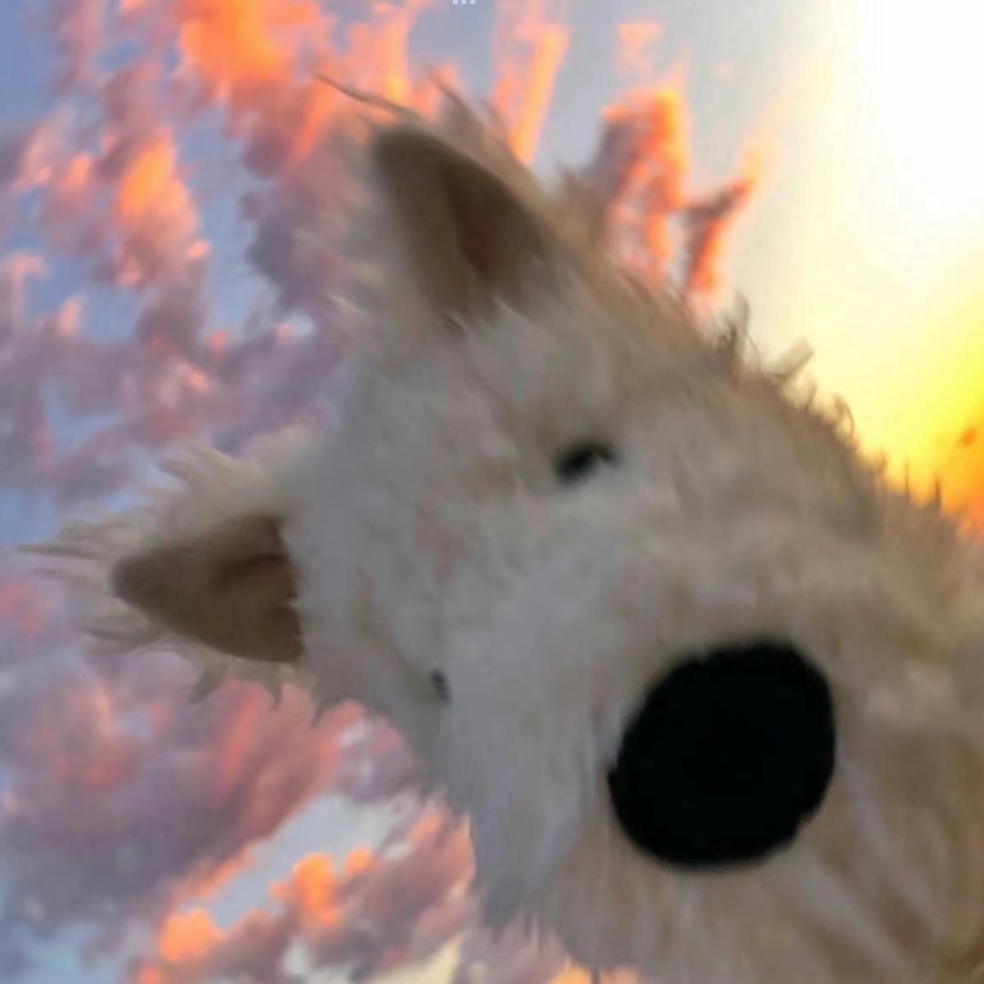 。。。。。。。。。。。。