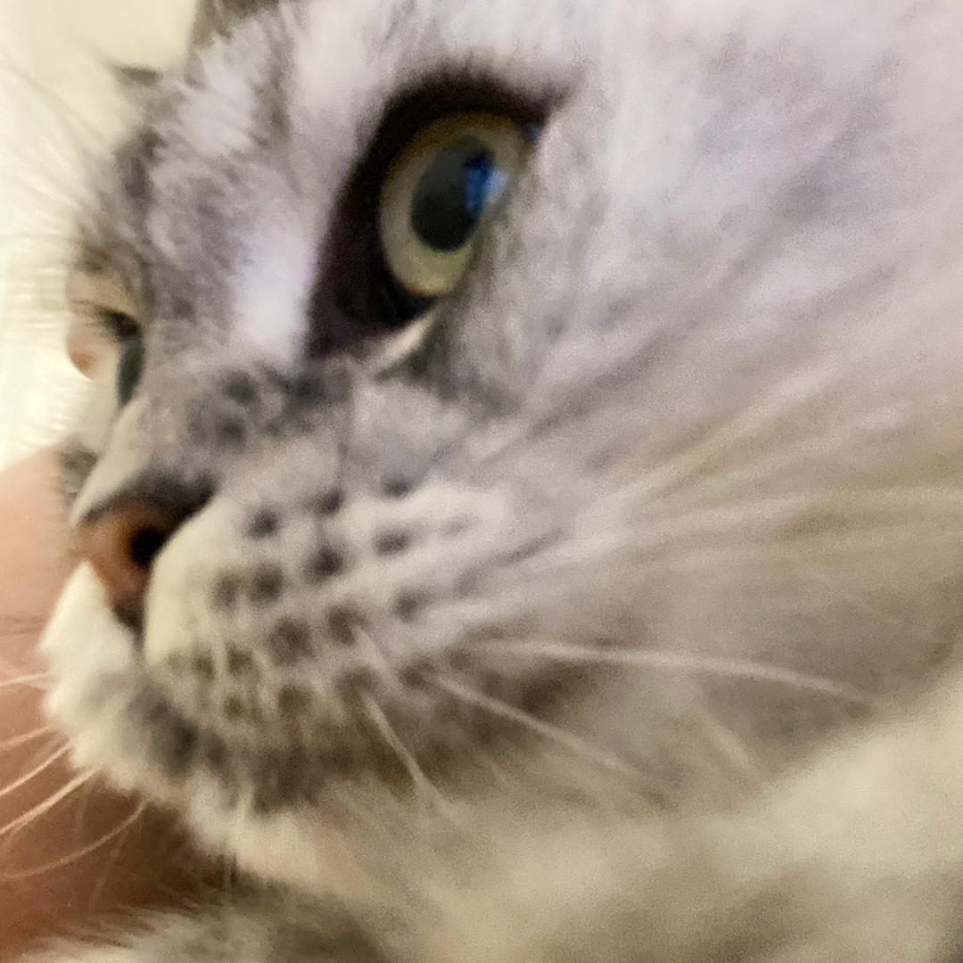 尽量热爱生活