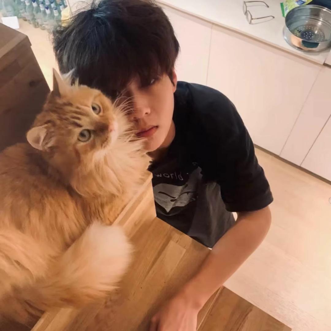 如果你也听陈奕迅