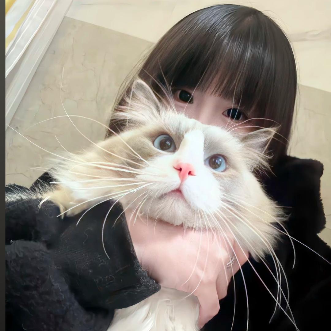 睡个好觉吧.