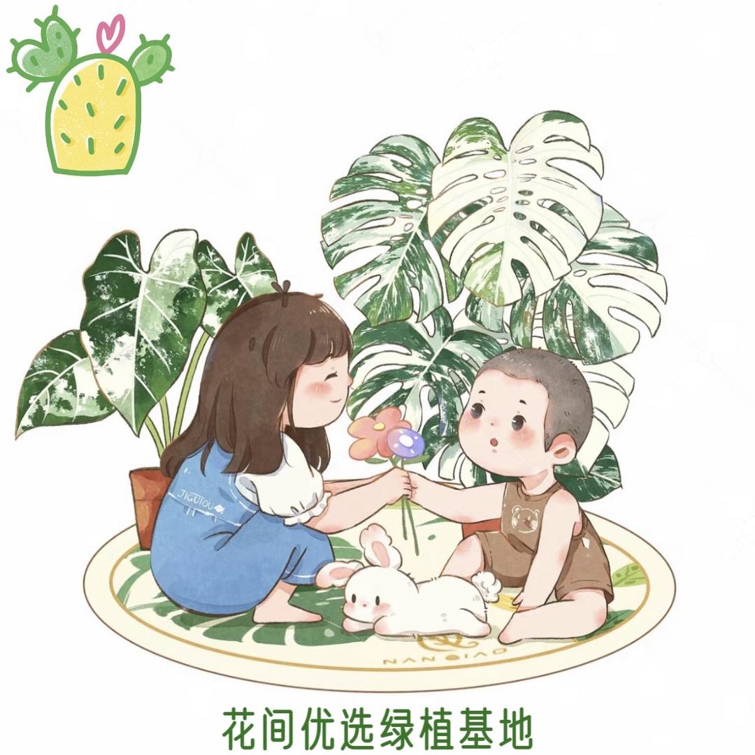 花间绿植基地