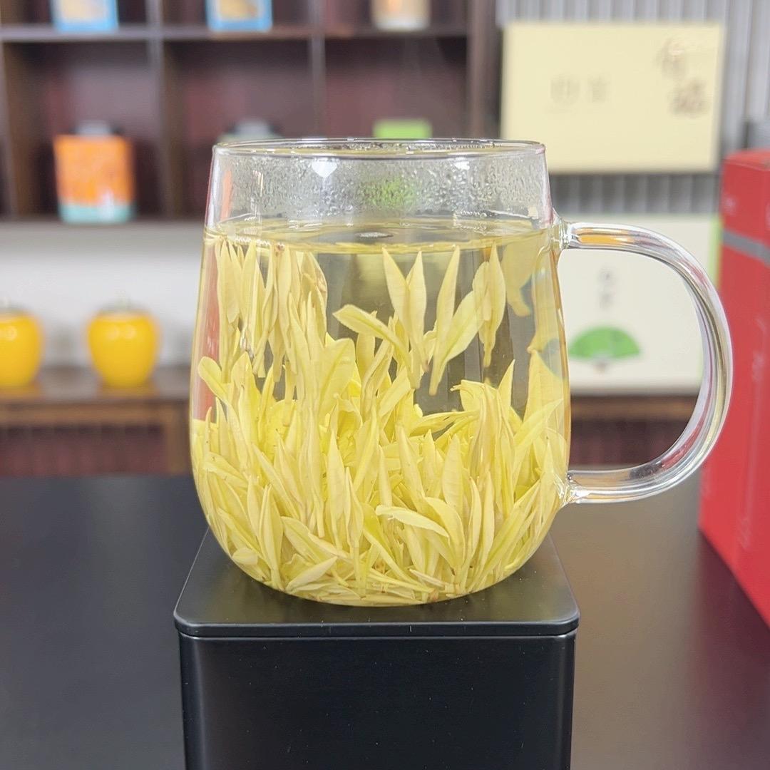 安吉江源茶场