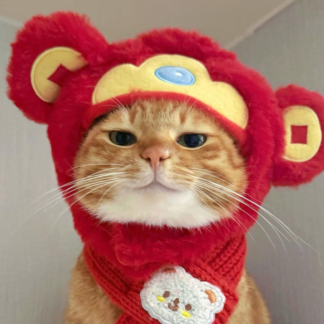 大财猫（红包🧧专场）