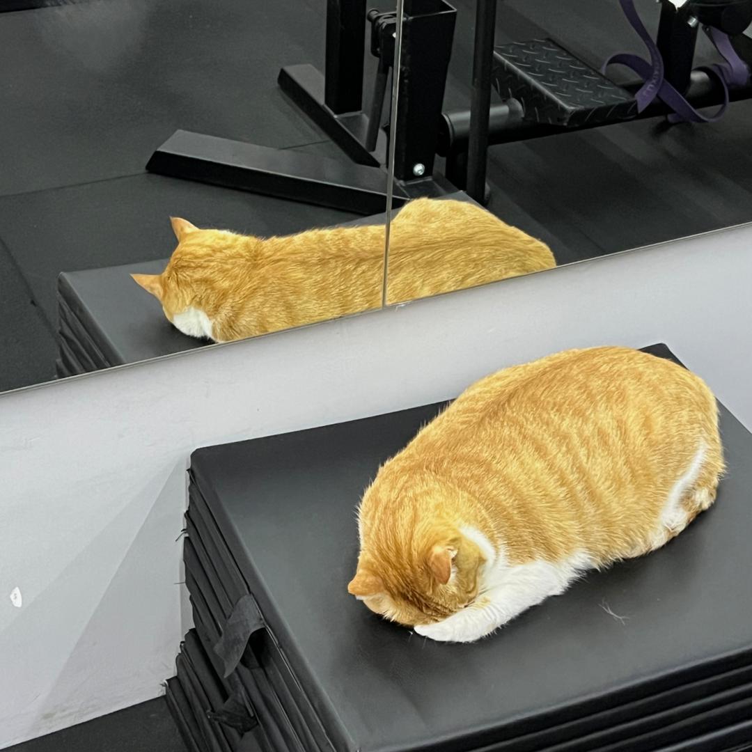 眠好梦