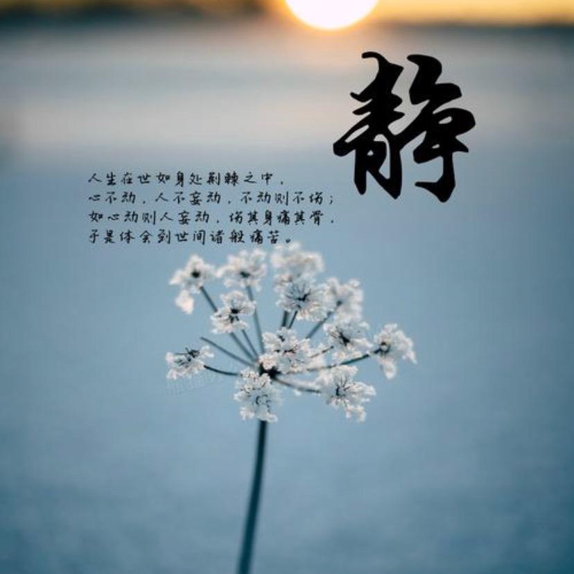 一念一清静