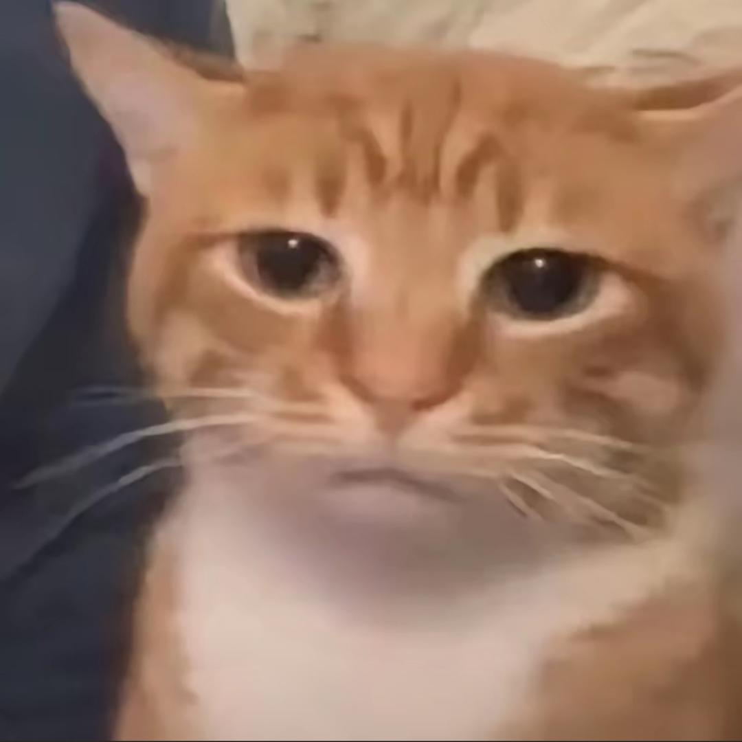 卜辞