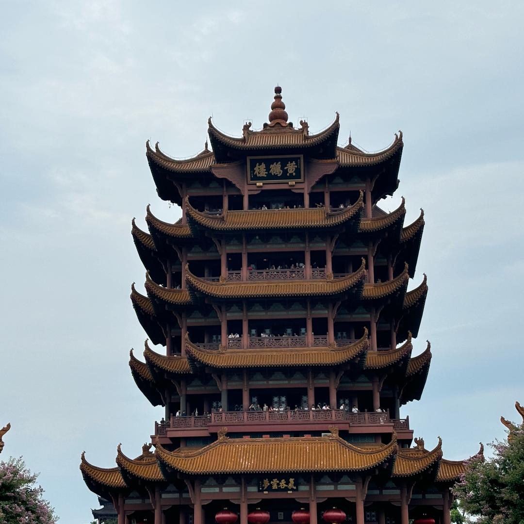 哲仔垂钓装备