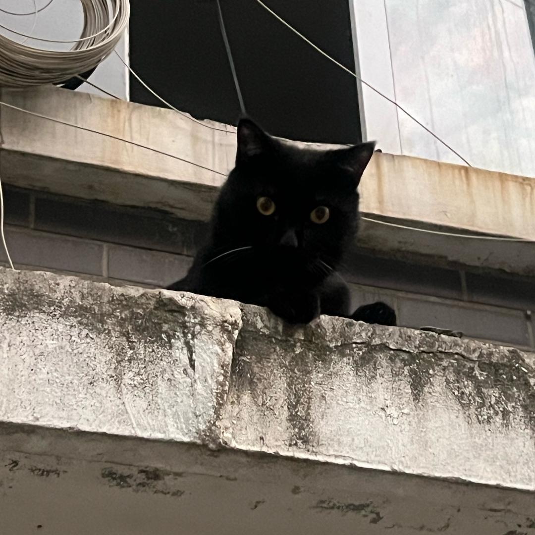 hudōr