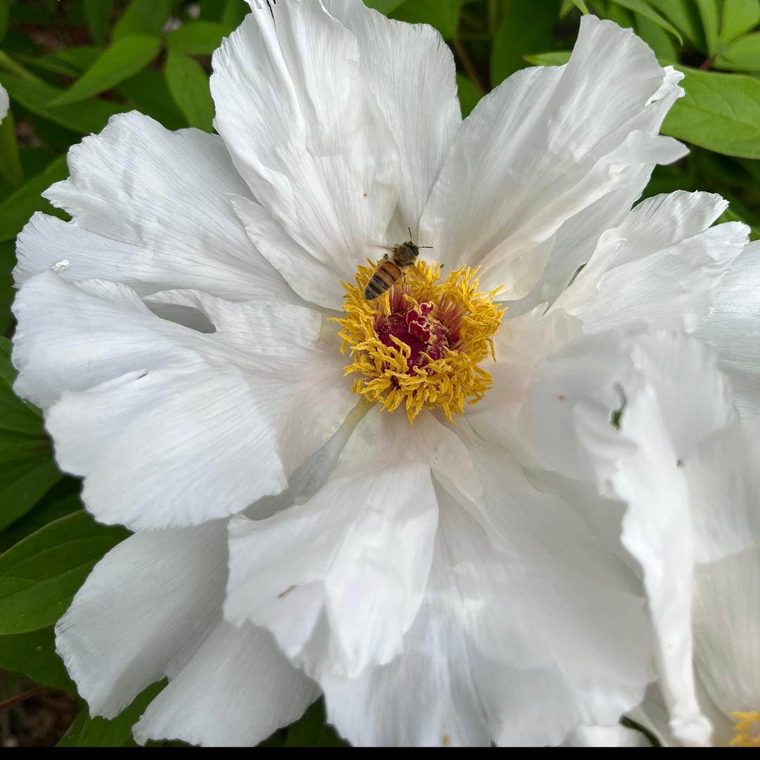 胖嘟嘟可爱好物分享