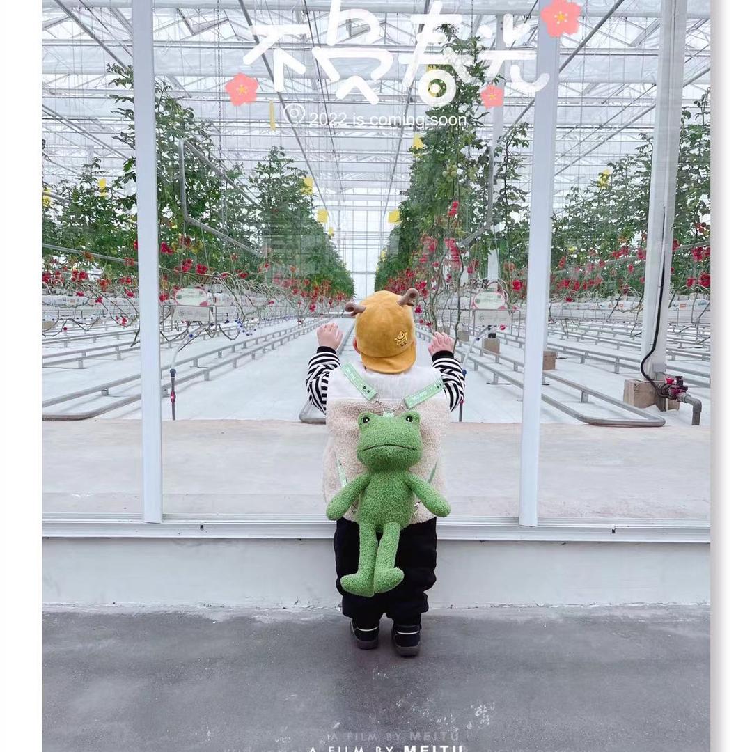 哎呀🎃