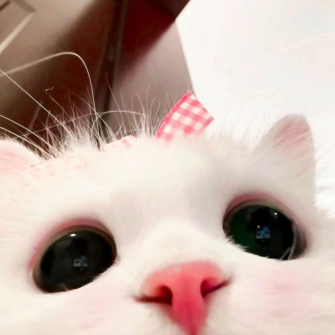 忧郁敏