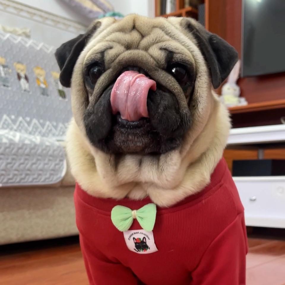 李小西的田园生活