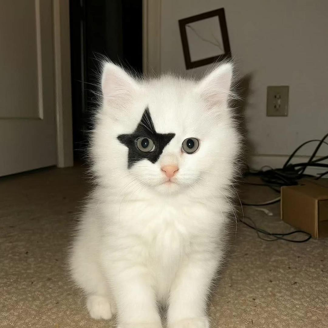 XX.