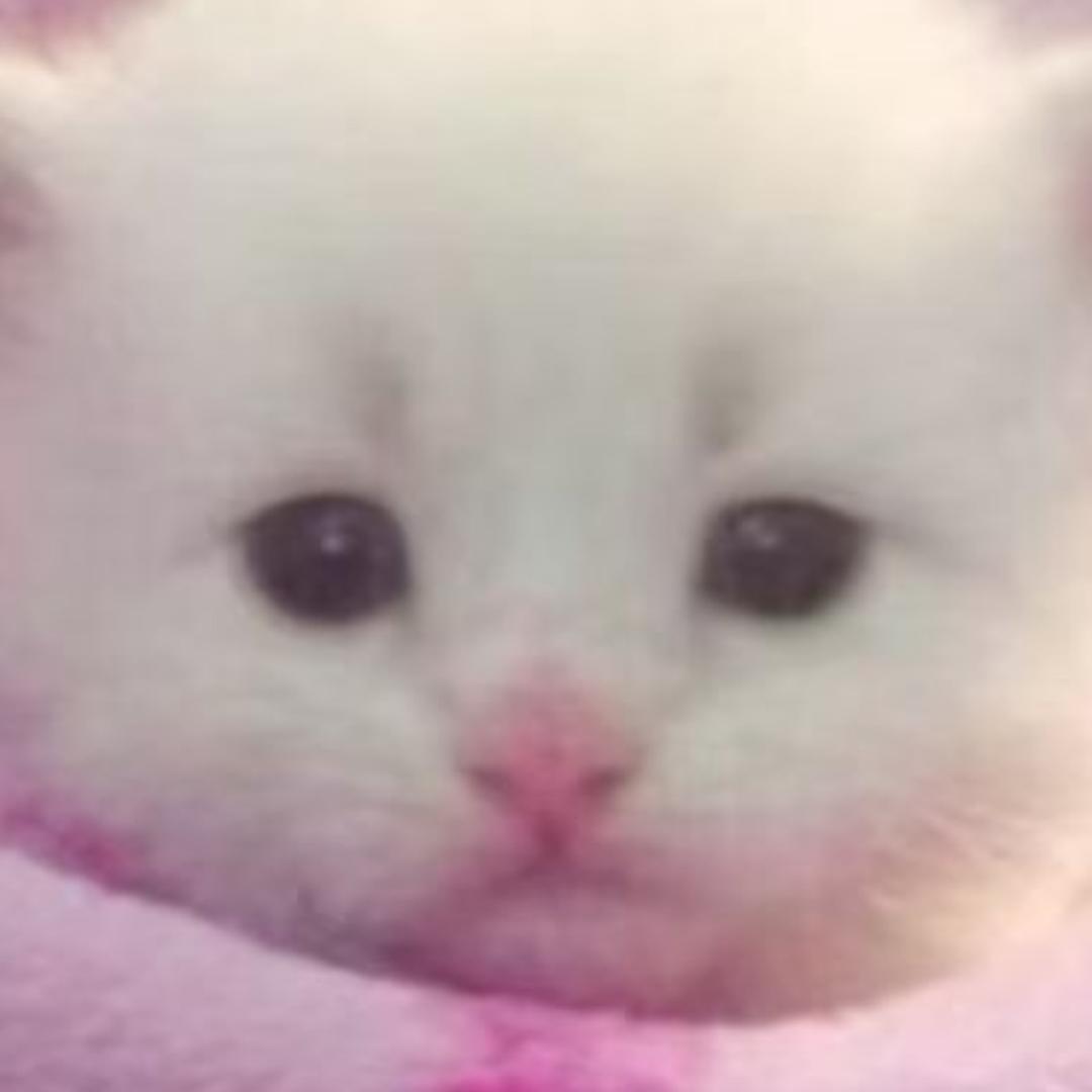 tt