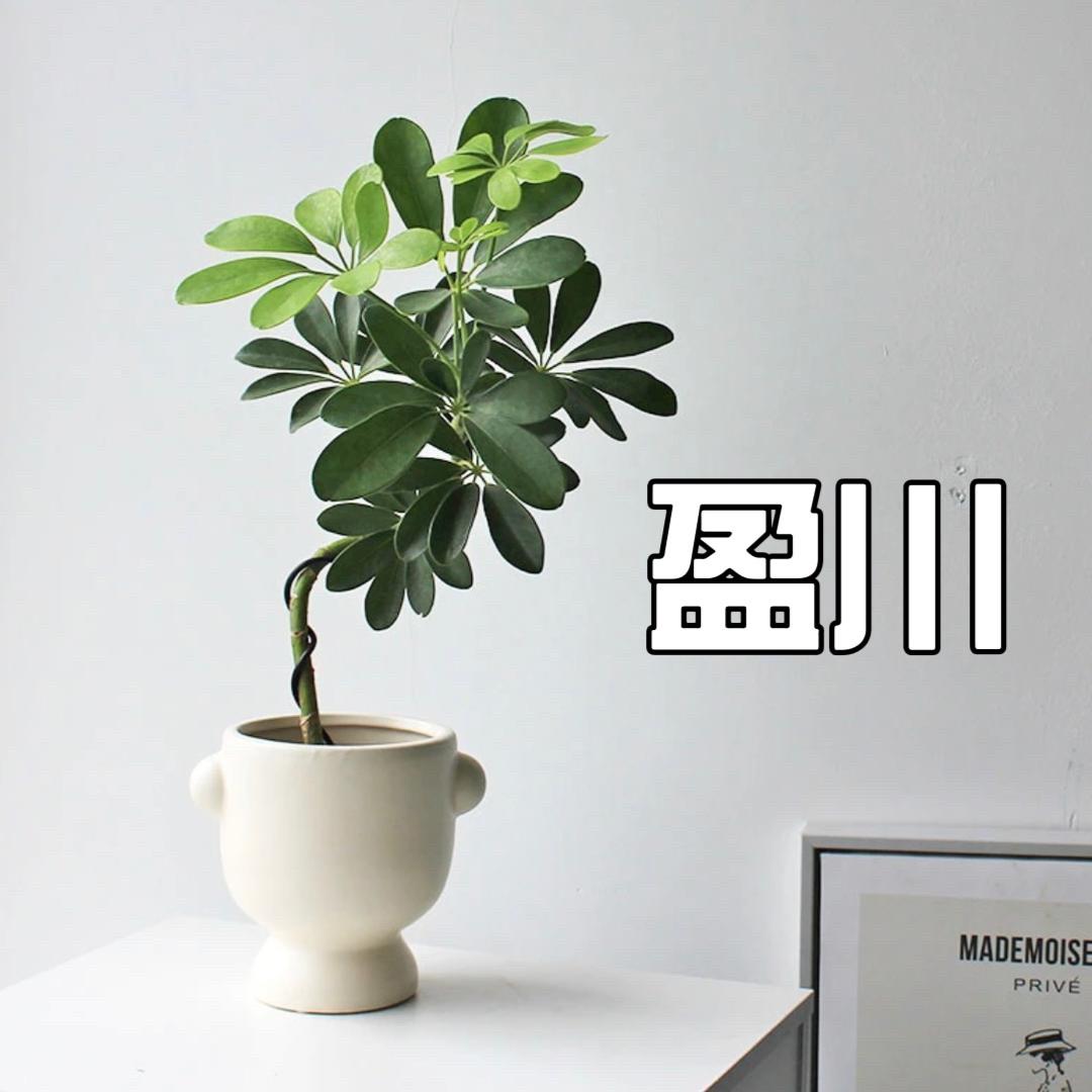 盈川