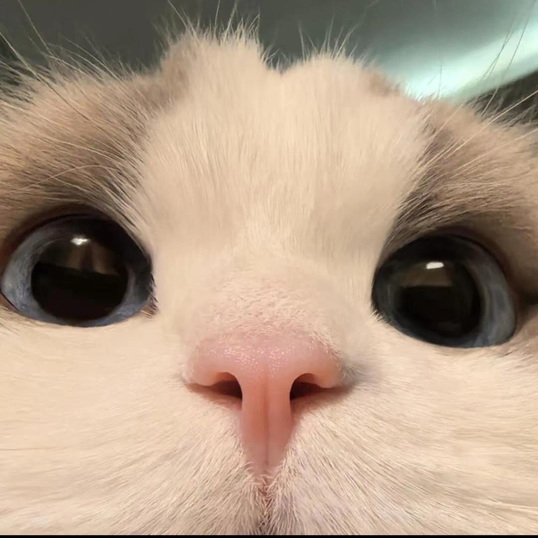 吴教瘦