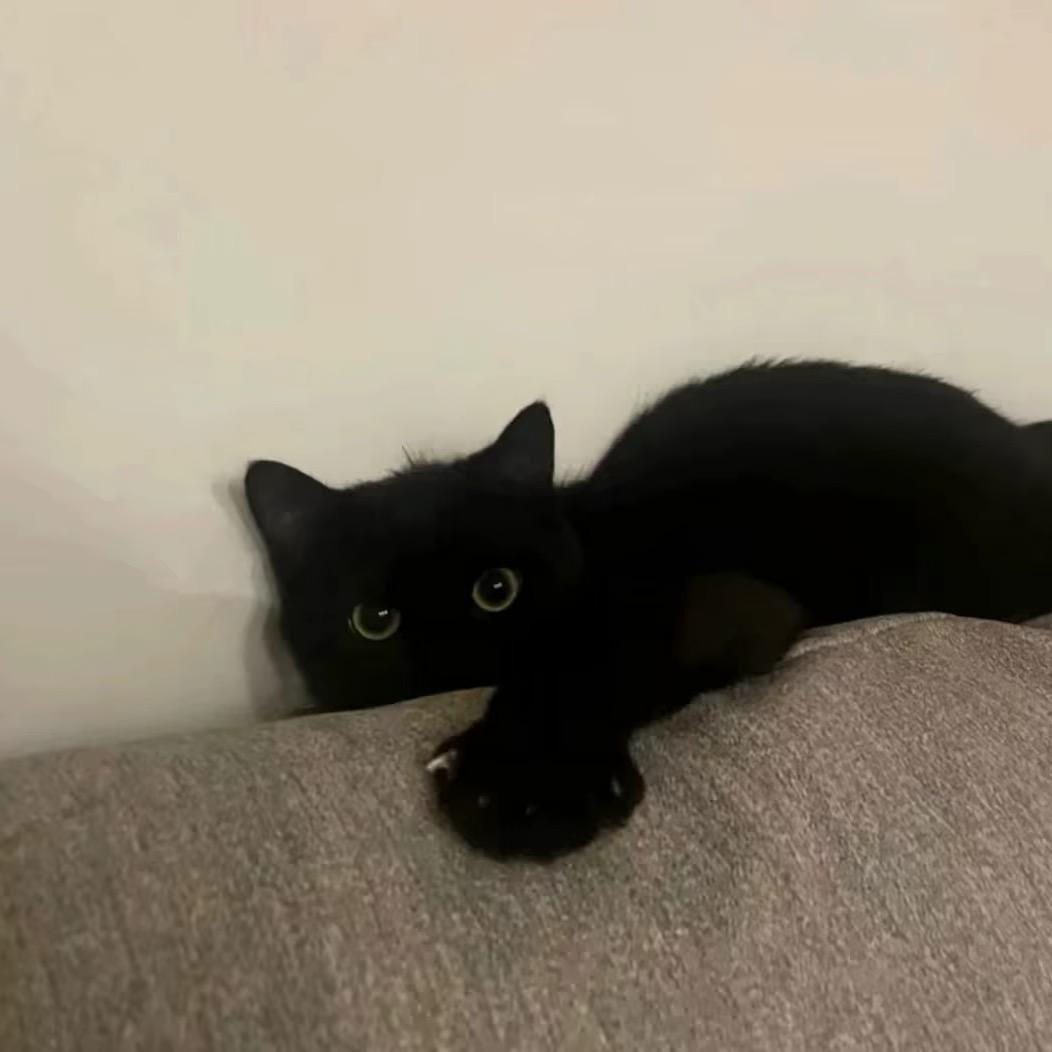 万事不抵你开心.