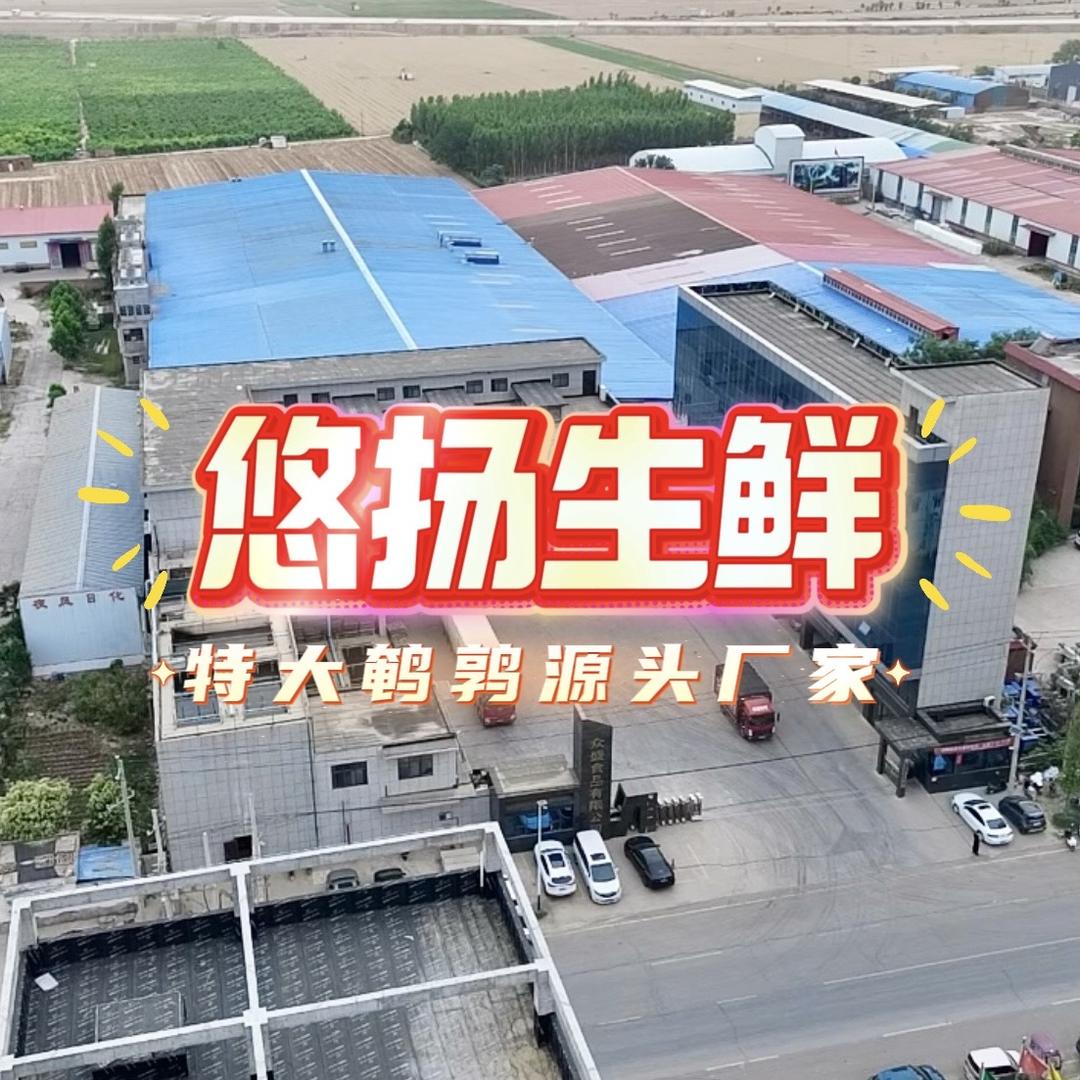 河南鸿鸽冰鲜鹌鹑源头厂家