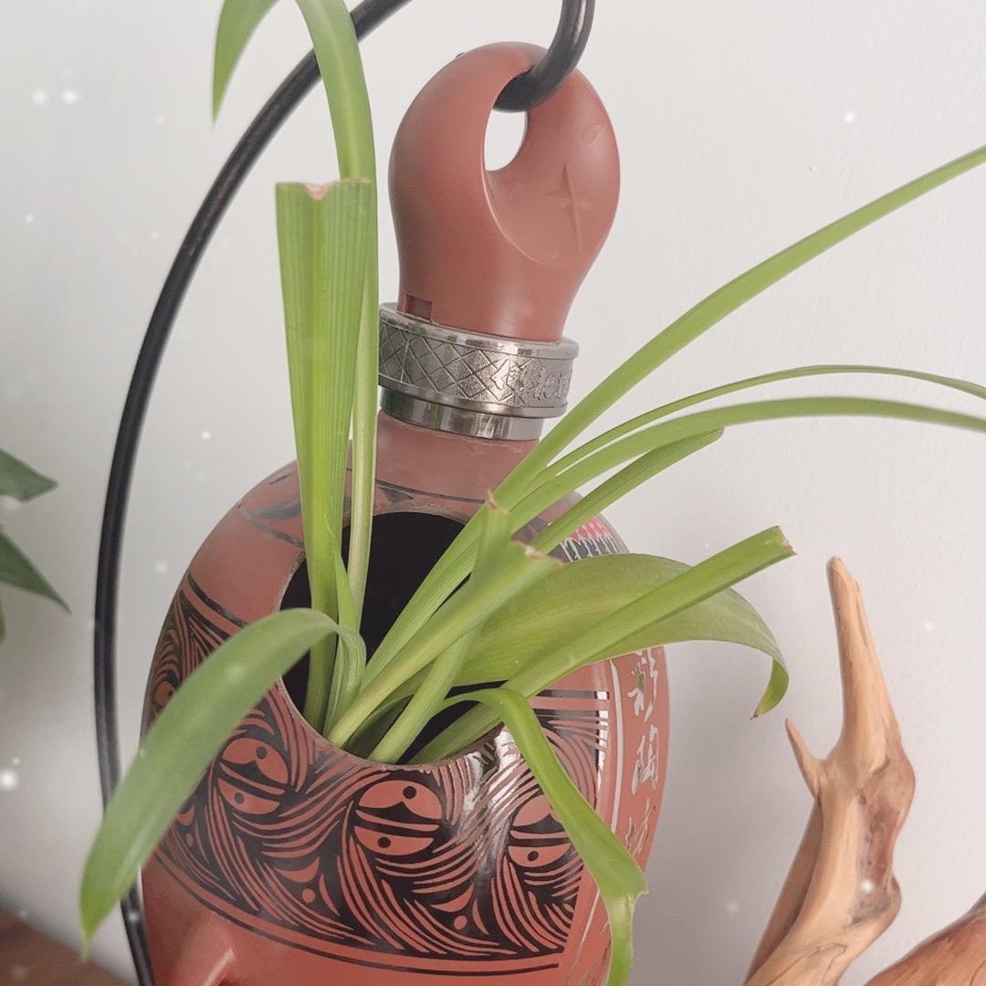 木易杨