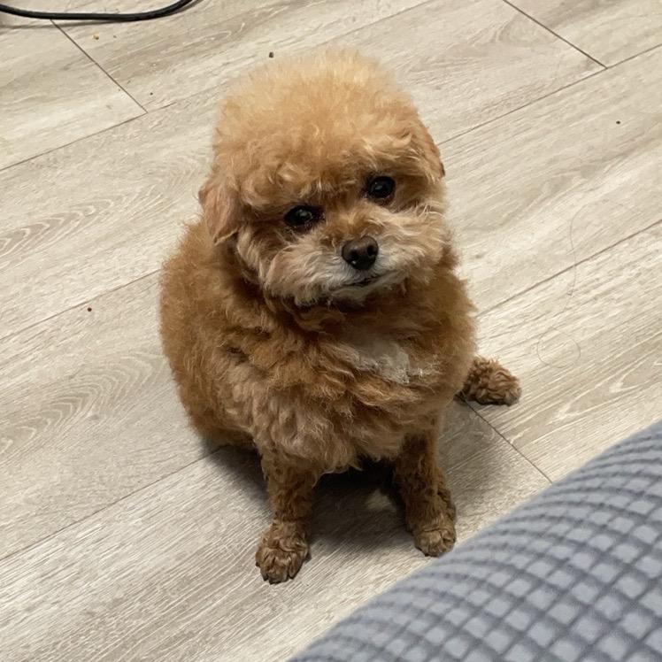 是李元宝哦