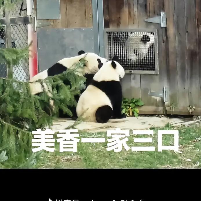 宝宝乖😘