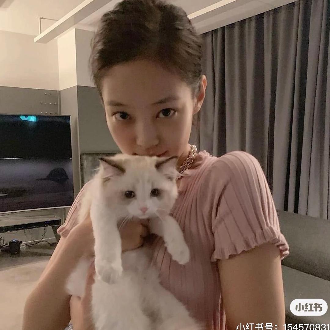 平舆贝亚德露露