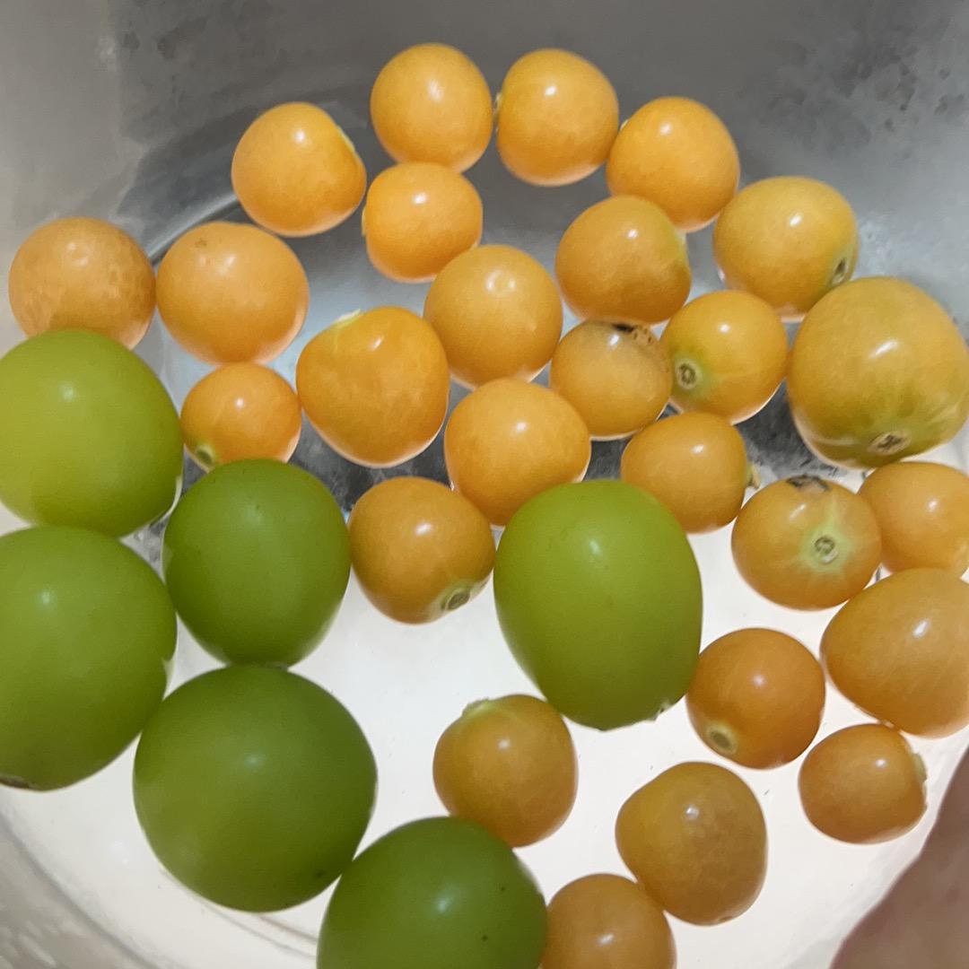 小志