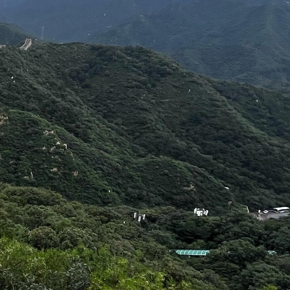 小青柠