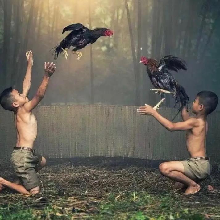 ฐานเพาะพันธุ์ได🇹🇭