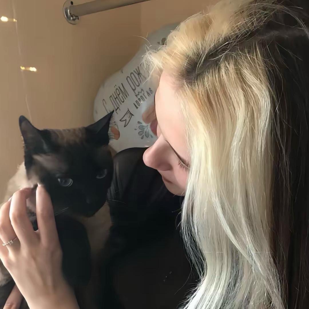 🐱