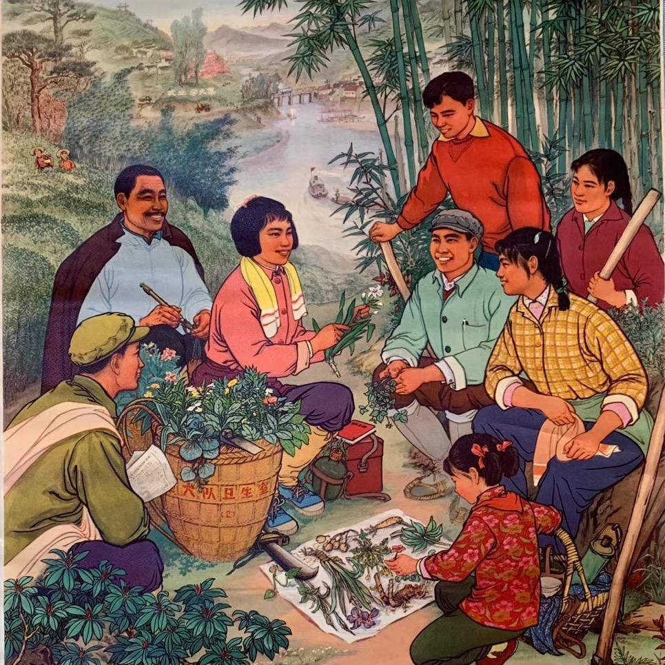 晨阳红色收藏